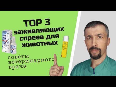 Обработка ран у животных.