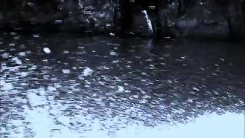 RevExp Noise - Sequence Collection 1