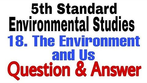 5th std EVS chapter 18 the environment and us l question and answer l easy explanation in marathi