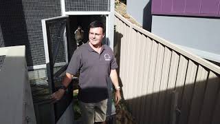 Magpie Release