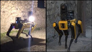 Robot Dog Now Guards The Ancient Streets of Pompeii