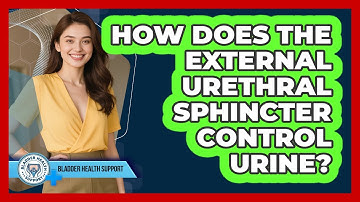 How Does The External Urethral Sphincter Control Urine? - Bladder Health Support