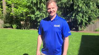 2023 Lawn Renovation Sod Repair Testimonial ~ Scott ~ Mill Creek