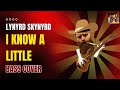 Lynyrd Skynyrd - I know a little (bass cover)