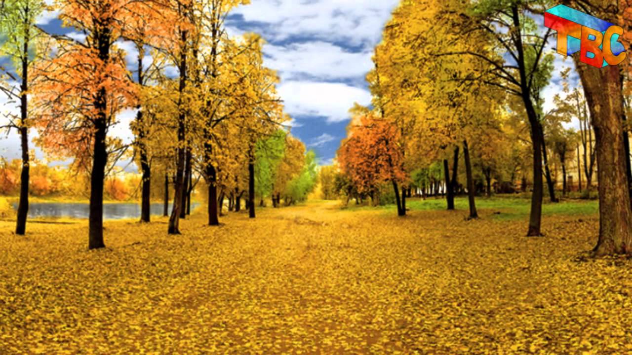 Осенний Витебск Фото