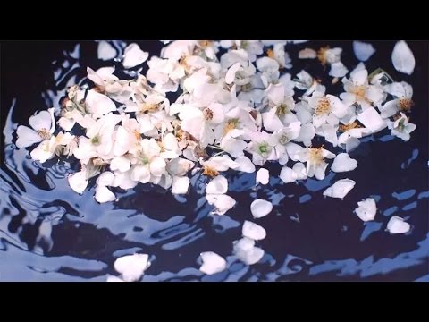teatv 今日芒種:洗白白,去晦氣
