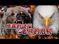 第189期：美国的第一轮试探，俄罗斯面临挑战。|【岩论】