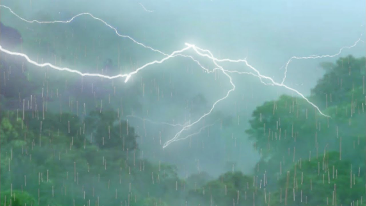 Sleep To The Sound Of Heavy Rain And Great Thunder In The Forest, Throw ...
