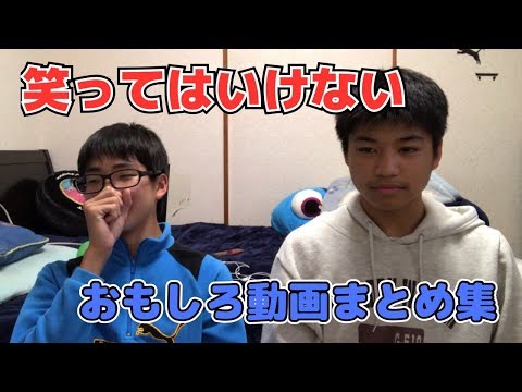 笑っ て は いけない トレジャー ハンター 動画 まとめ 笑っ て は いけない トレジャー ハンター 動画 まとめ