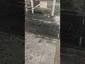 地下鉄換気口にゴキブリ🪳大量発生😱