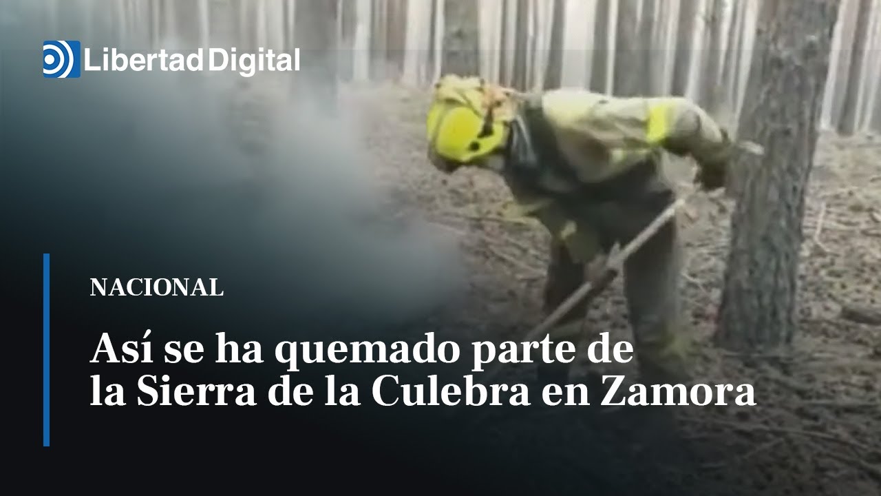 Así se ha quemado parte de la Sierra de la Culebra en Zamora