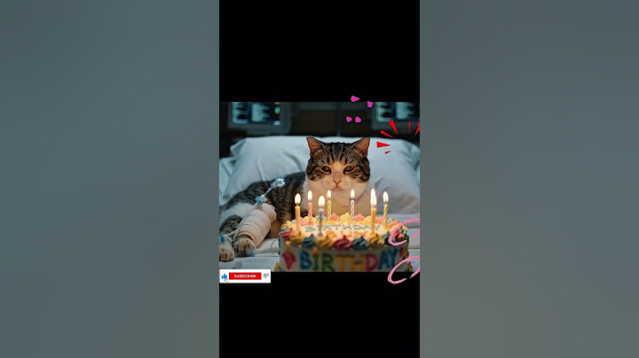 Cepet sembuh Kucing😢🥰 #animalintelligence #catlovers #Cat #cake #so #Cute #aiandcats #trending