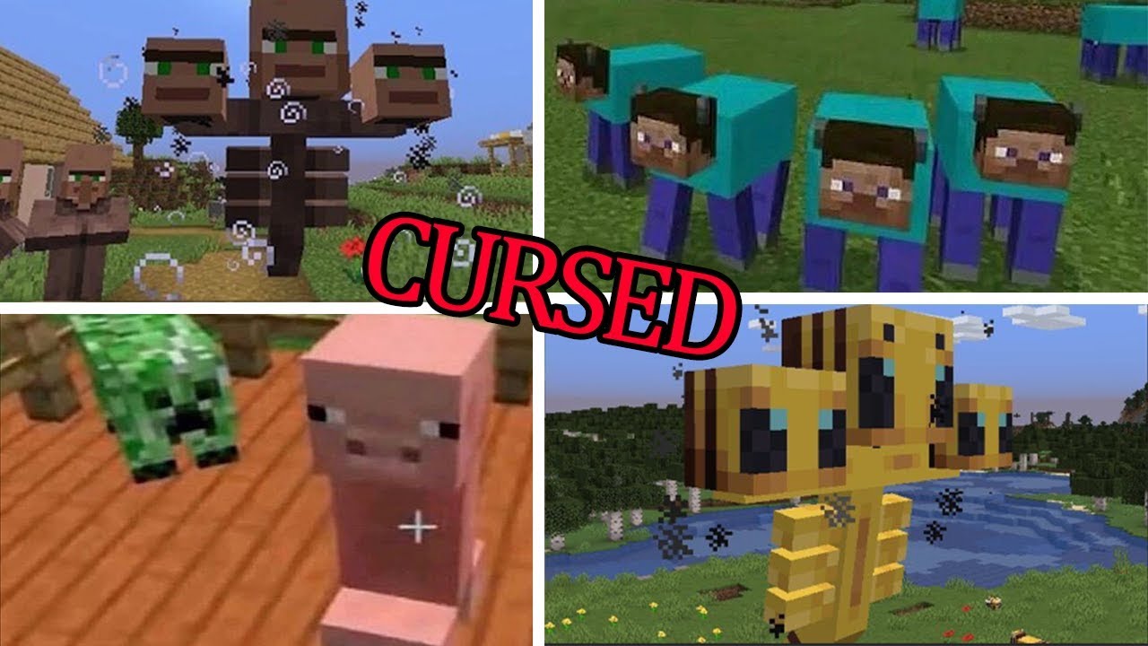 Cursed Images Of Minecraft