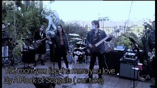 The More you live, The more you Love by A Flock of Seagulls (cover)