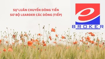Luân Chuyển Dòng Tiền - Leader (tiếp)