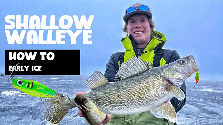 Shallow Walleye at Early Ice | Devils Lake ND