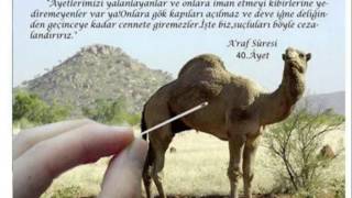 050 kaf suresi Kuranı kerim okunuşu ve Türkçe meali Hatim