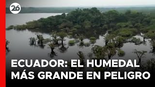 el-cambio-climatico-y-la-deforestacion-amenazan-al-humedal-mejor-conservado-de-ecuador-26global