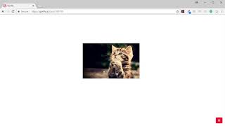 Gorilla.sc - Creating Screens from scratch