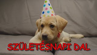 Oroszi Fanni - Születésnapi dal