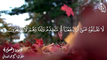 وأوحينا الى أم موسى أن أرضعيه | القصص | القارئ محمد الورداني | Mohamad Elwardani