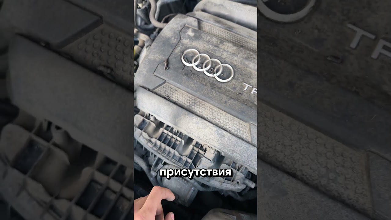 Audi Q3, не работает усилитель руля. Сплинтер уркал провода...