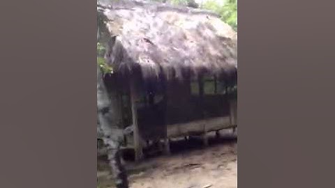 Kapitari