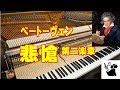 【40代でピアノ】ベートーヴェン 悲愴・第二楽章　Beethoven Pathetique Sonata - 2nd mov　#16