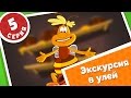 ПЧЕЛОГРАФИЯ - Мультики для детей - 5 серия - Экскурсия в улей