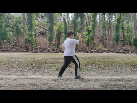 9 BASIC MOVEMENTS OF KARATE.