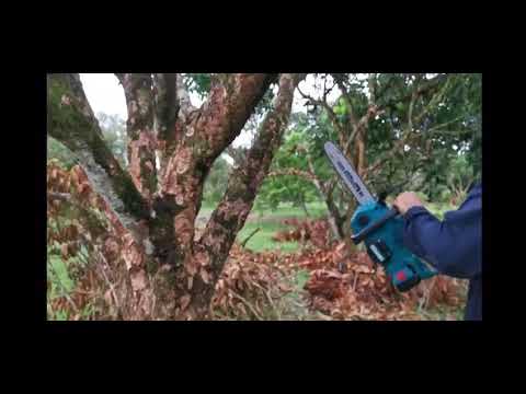 للبيع منشار حطب  شحن بطاريات جديد مقاس المنشار 16 أنش