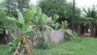 Year in Argentina, 06 Northern Jungles