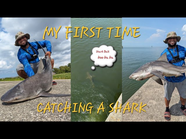 My First Time Catching A SHARK 🦈, INSANELY POWERFUL FISH