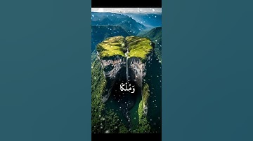 محمد اللحيدان/ سورة الانسان/ ارح سمعك 😴