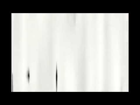 كروما بيضاء للتصميم