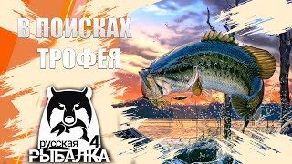 Ловим на спиннинг  Яма   Русская рыбалка 4