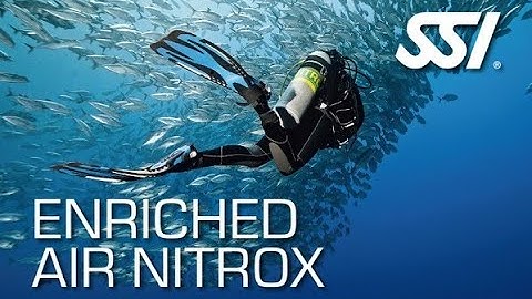 What is Nitrox? Free Enriched Air Nitrox Level 2 (40%) Class - November 2023