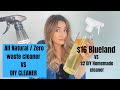 Zero Waste Cleaning Products VS DIY Homemade Cleaning Products | Is Blueland worth it?