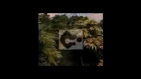 MGK COMPOUND C MUSIC VIDEO PATCH BEATZ 2009