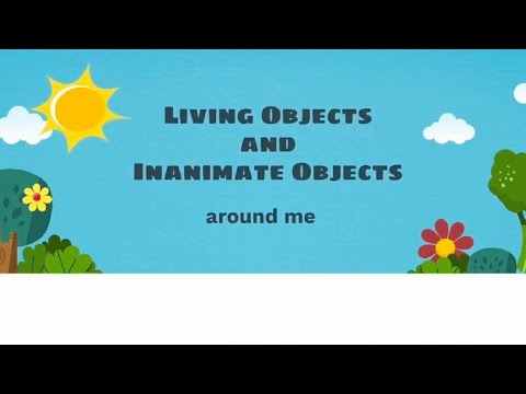 Living Objects and Inanimate Object Around Me - YouTube