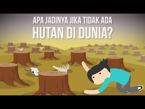 Apa Jadinya Jika Tidak Ada Hutan di Dunia?