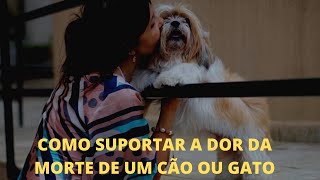 COMO SUPORTAR a MORTE de um CÃO ou GATO?