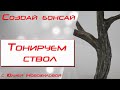 Тонируем гипсовый ствол бонсая