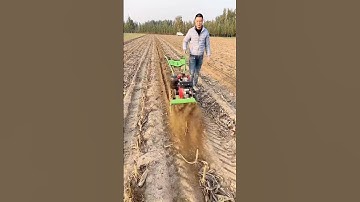 Mini Tiller RotaryTiller Combined Weeding Rotary Tiller Ditching AndHay CrushingMachine