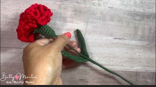 Clavel a crochet