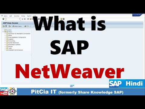 What is SAP