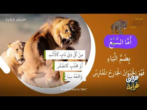 سبع فروق القرآنية