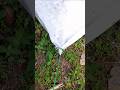 You Won’t Believe This Rope Fix Trick #LifeHack #DIYHack #RopeTrick #CampingHacks