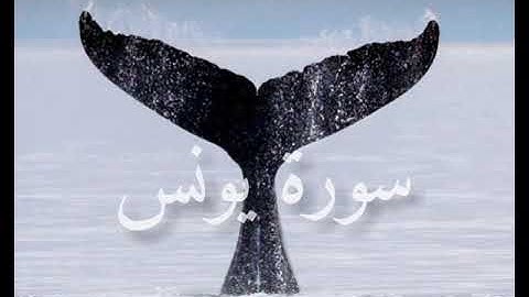 تلاوة مريحة للقلب سورة يونس| لا إله إلا أنت سبحانك إني كنت من الظالمين