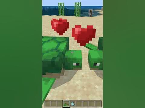 Cara Mengawinkan Kura Kura Tapi Bisa Menelur Di Minecraft